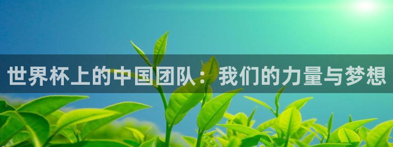 2026世界杯南美区积分榜:世界杯上的中国团队:我们的力量与梦想