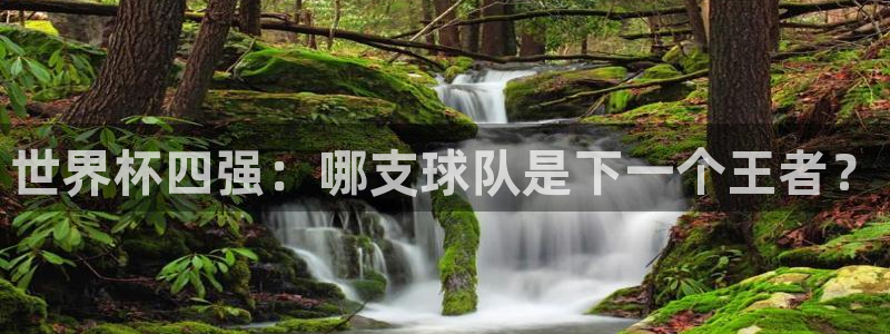 2026世预赛赛程:世界杯四强:哪支球队是下一个王者?