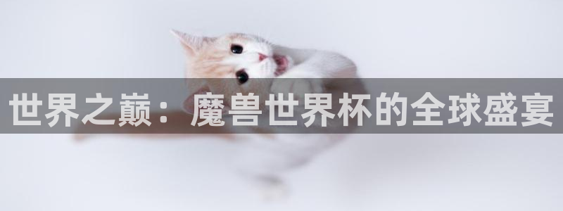 英足总杯直播:世界之巅:魔兽世界杯的全球盛宴