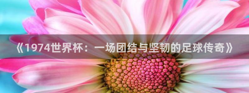 2026世界杯赛程时间表最新:《1974世界杯:一场团结与坚韧的足球传奇》