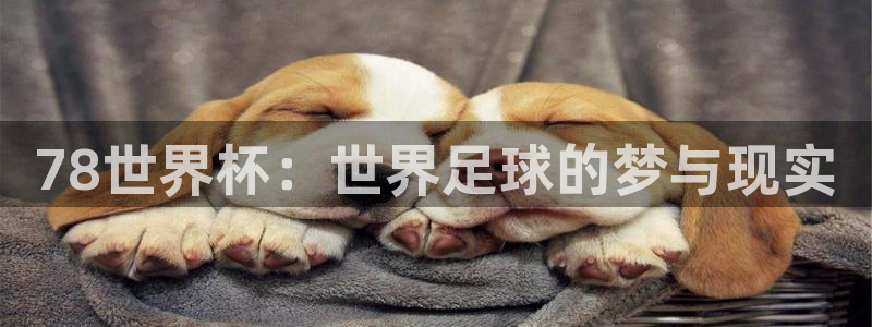 足球世界杯赛程:78世界杯:世界足球的梦与现实