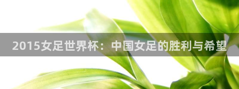世界杯对阵图2026:2015女足世界杯:中国女足的胜利与希望
